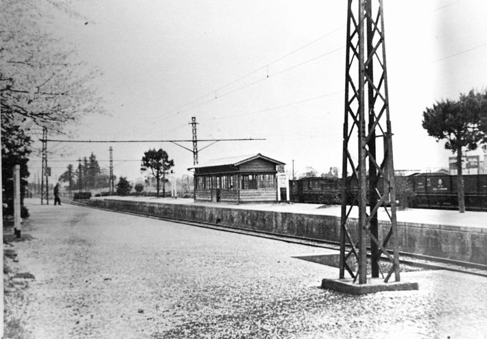 高坂駅の桜(昭和30年)