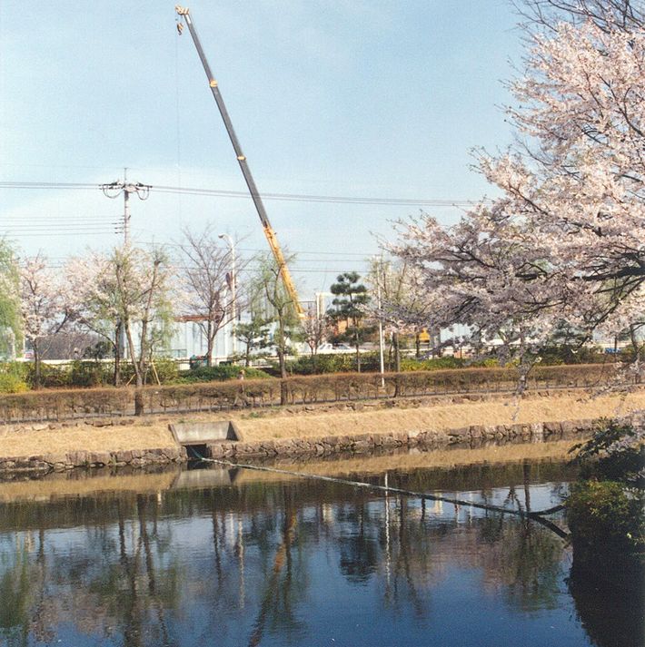 下沼公園の桜・図書館前(平成元年4月5日)