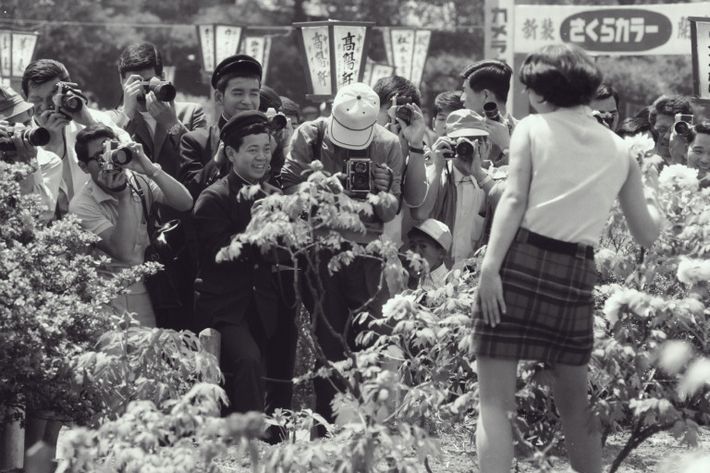 ぼたん祭り撮影会(昭和44年)