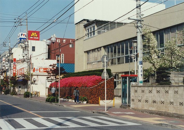 旧図書館前のツツジ(平成元年5月6日)