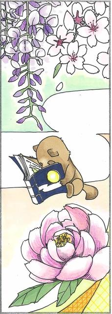 R4しおり画像.jpg